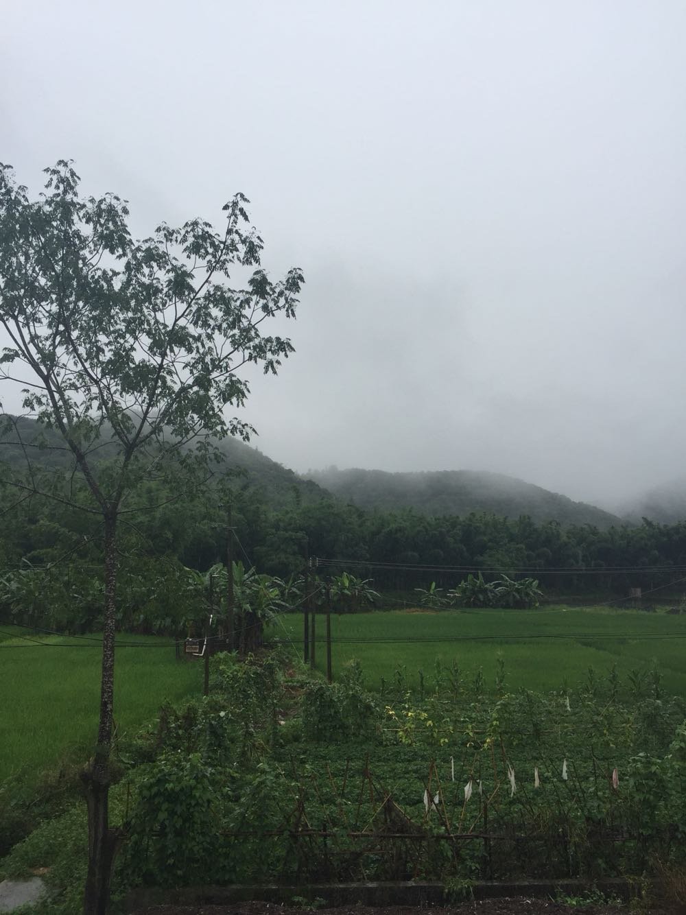 朗多村今日天气预报