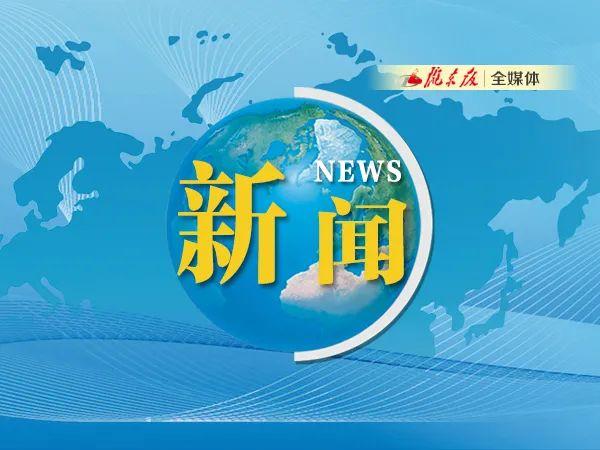 西峰区民政局发展规划，构建和谐社会，开启服务民生新篇章