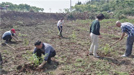 眉山市粮食局最新动态报道